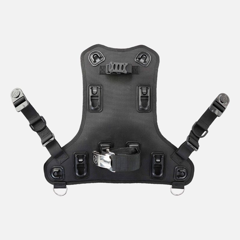 Aqualung ROGUE BCD Back Assembly