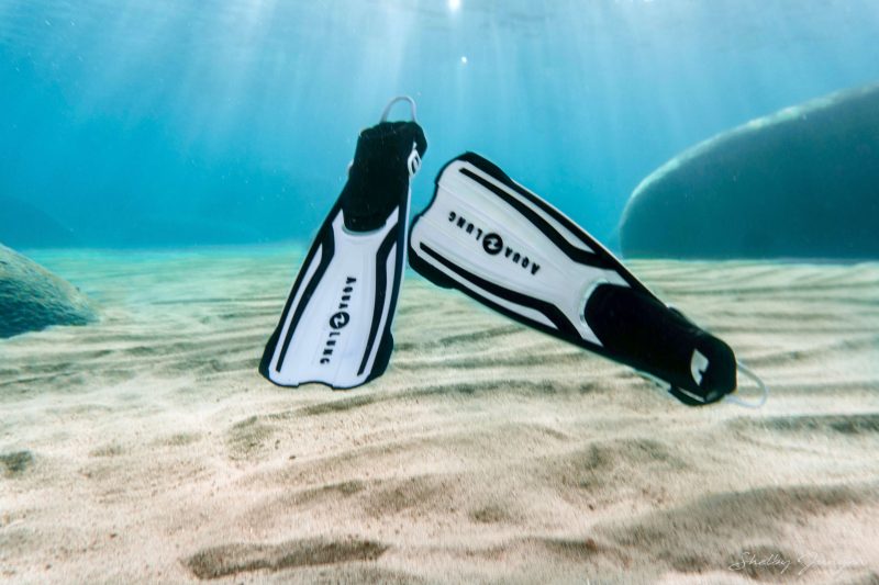 Aqualung AMIKA Dive Fins